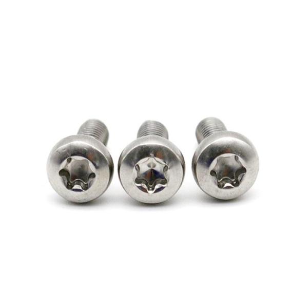 Small Six Lobes Hex Socket Stainless Steel Pan Head Torx Screw