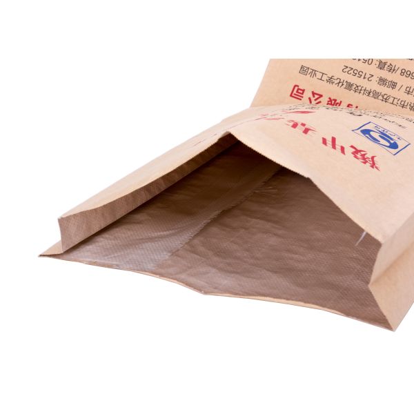 Recyclable Raphe Plastic Paper Bag For Material Packing Ziplock Available
