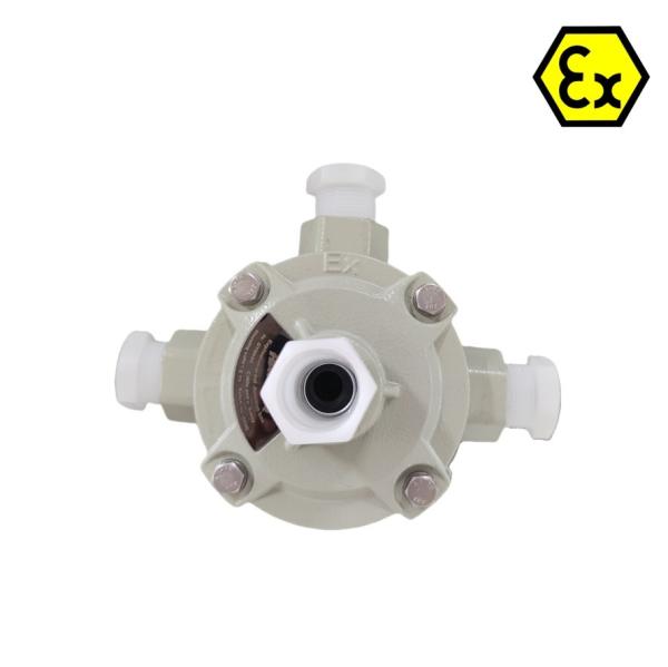 See Illustration Entry No Explosive Safe Junction Box Wall Mounted Entry Solution for B2B Buyer