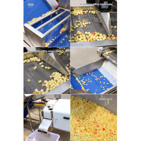 Orange Potato  Potatoes round tuber crops Carrots and longitudinal root vegetables Onions Cabbage varieties Fruiting veget Large-scale fruit and vegetable washing drying and cutting production line