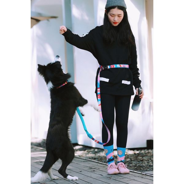 Outdoor Hiking Retractable Anti Pull Dog Leash Lead 1 Inch Halti Handmade