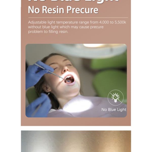 Лампа стула больницы ветеринарная зубоврачебная, свет 28В используемый в зубоврачебном стуле