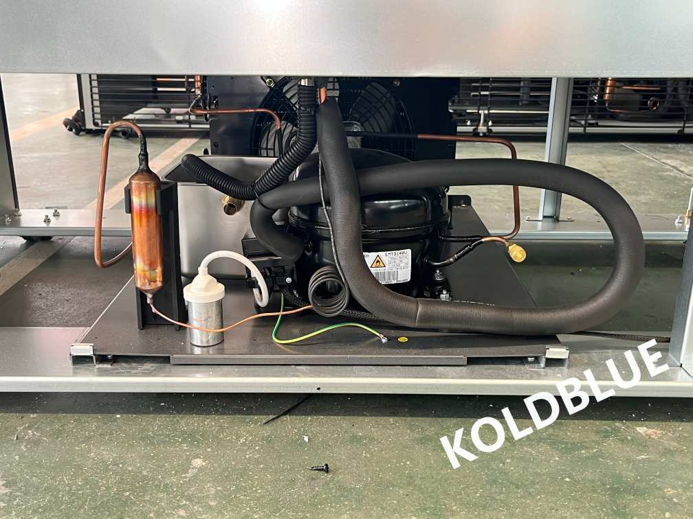 Low‑E Glass Upright Display Chiller Dixell Thermostat R290 Refrigerant