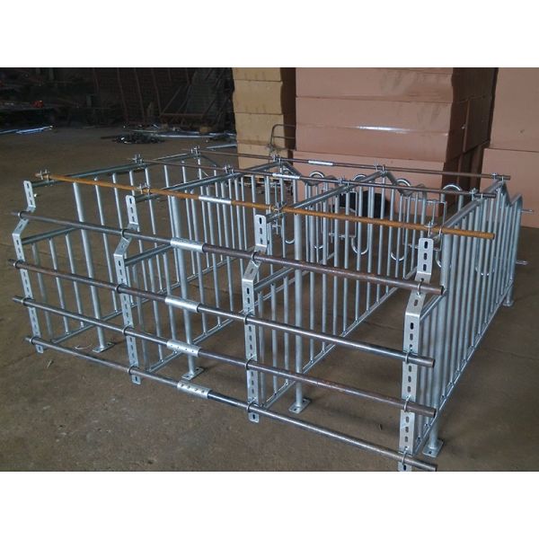Durable Steel Iron Hog Gestation Stalls , Gestating Pen For Livestock