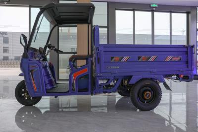 Fabricant Camion Motocycle électrique Tricycles