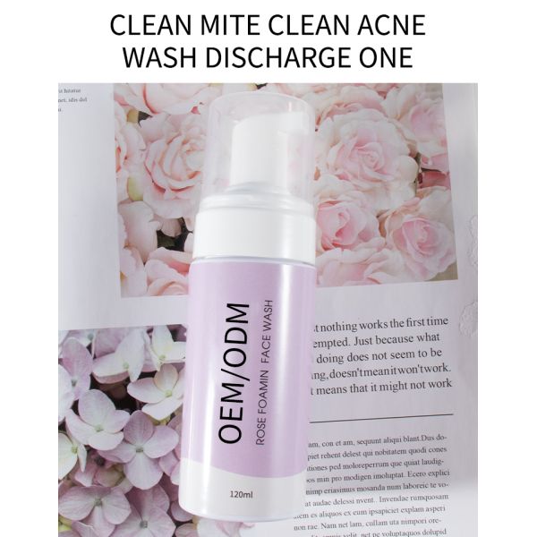 Cleanser MSDS управлением 120ML масла пенясь лицевой поднял Cleanser стороны воды