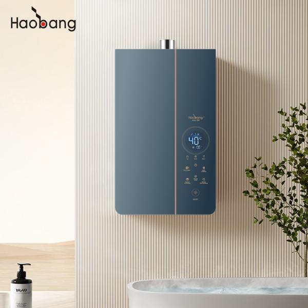 効率 93% 強制排気ガス 給水器 21kW 熱出力 電源 壁 適正な加熱と効率のために設置