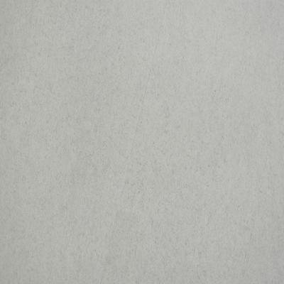 Dry Backing Office PVC Flooring Matte Brightness Waterproof  Light Colored