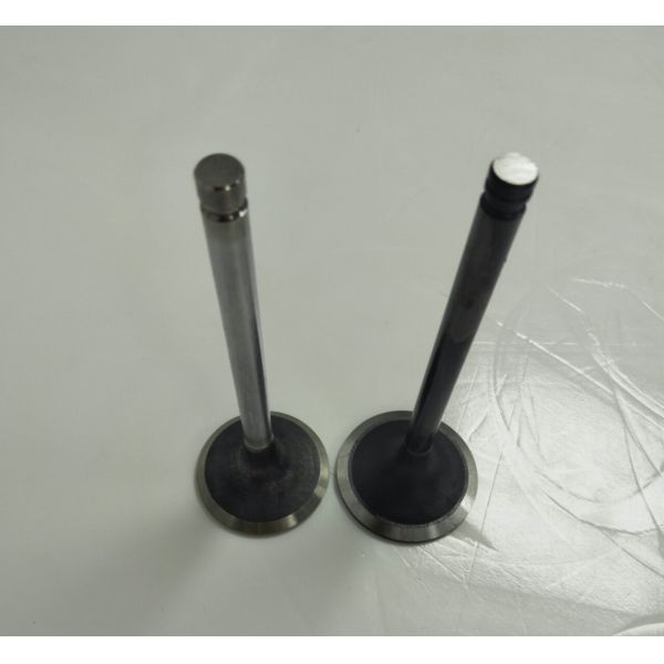 Mitsubishi 8DC2 6DC2 Diesel Engine Valve For Excavator With 175mm 8 Cyl