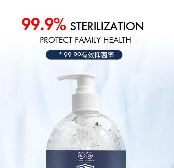 Portable Mini Silver Ion Hand Sanitizer Disposable Waterless Antibacterial Gel 500ml