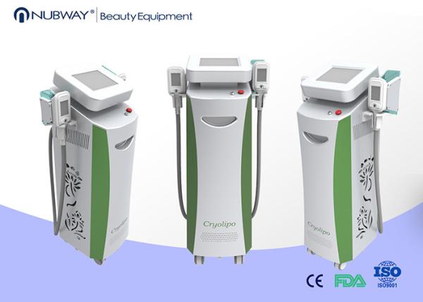 2015 Newly!!! double cryo handle working same time cryolipolysis slimming equipment