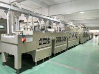 PCB SES LINE Film et étain Stripping Machine de gravure de PCB pour carte de circuit imprimé