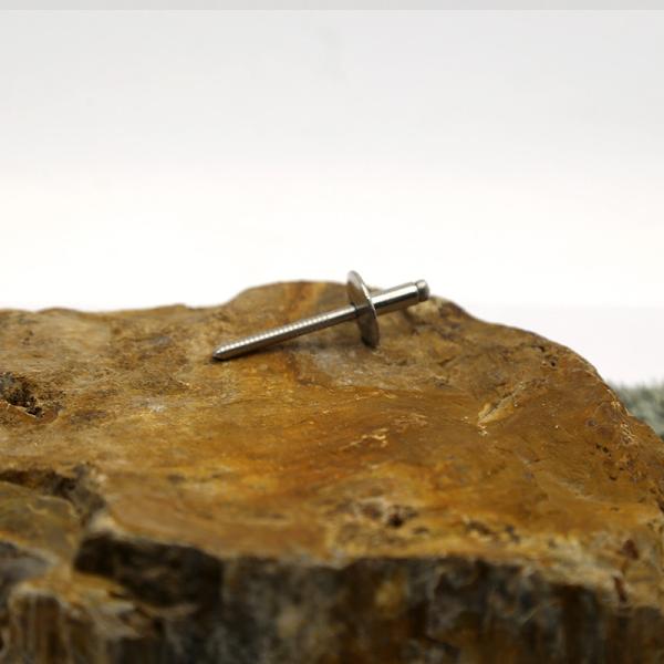 Thread Electroplating Stainless Steel Pull Rivet Cold Heading Crafts