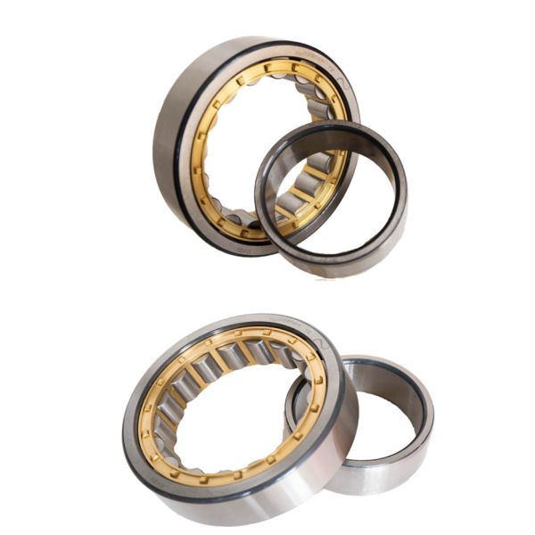 300*460*74 Straight NJ1060M Cylindrical Roller Bearings