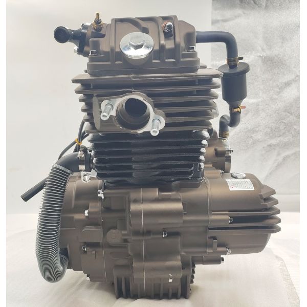 Fit ATV UTV Tricycle Motorcycle Engine Assembly for DAYANG LF 300cc Water Cooled