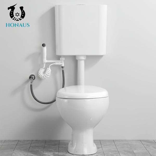 Simple Two Piece Toilet Bowl Manufacturer Direct Ceramic Body Separated Tank