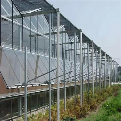 New Products Intelligent Modern systems Farming Venlo Greenhouse Structure design