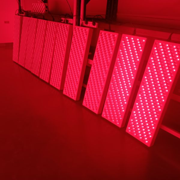 OEM ODM Красный светодиодный светотерапевтический панель Низкий электромагнитный поле тело около инфракрасной сауны 600w