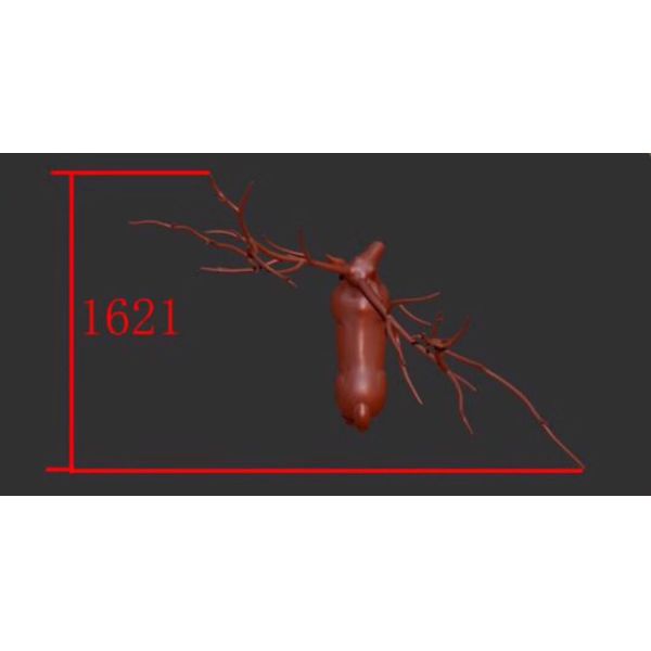 2019 New Designs Stainless Steel Elk Wapiti Metal Art Sculpture For 5 Star Hotel Decoration