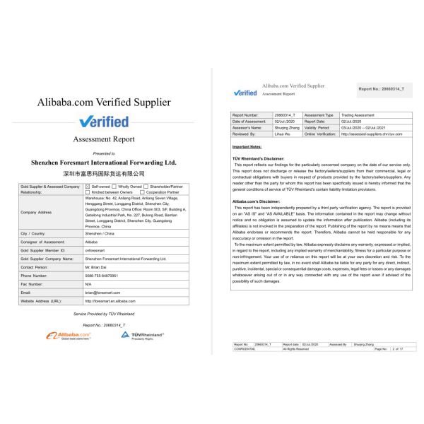 SGS DDP Freight Forwarder China To Europe Austria