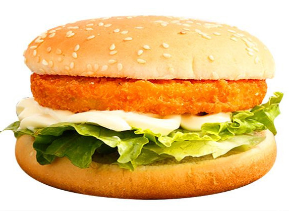 Stainless Steel Manual Burger Press / Commercial Electric Hamburger Bun Toaster