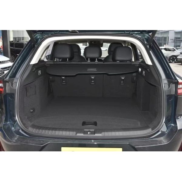 Qi Ruixingtu Lingyun 2023 1.6T Two-wheel Drive Star Enjoy Edition Electric PICKUP LED