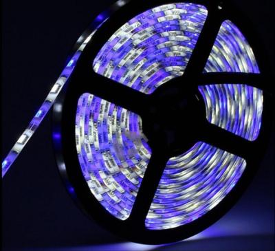 DC24V RGB LED Strip Lights Low Voltage With Snap In Bulb Socket Design