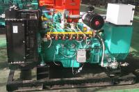 10kva - alternador de Leroy Somer do gerador do gás 125kva natural com baixo consumo de combustível