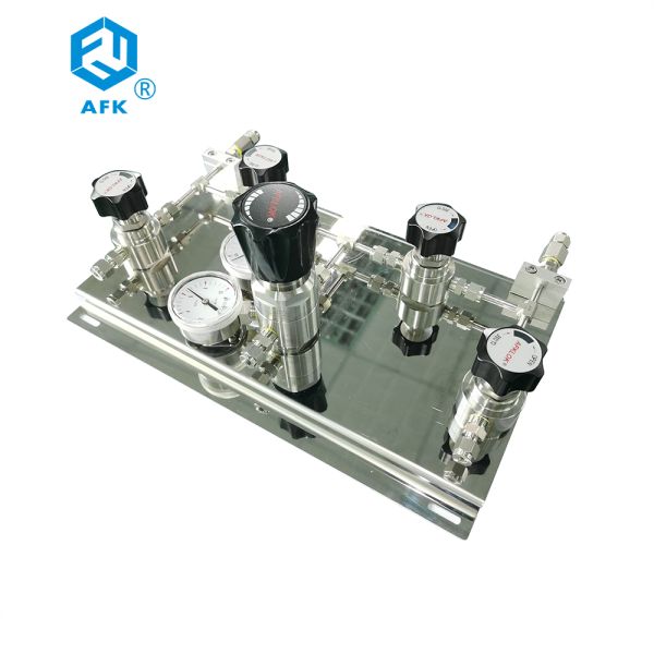 AFK Panel Gas Pressure Regulator Stainless Steel Manual Double Side Air Supply