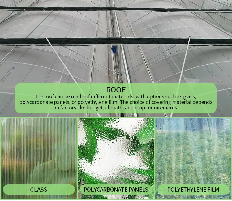 Сельскохозяйственная овощная теплица многопролетная томатная теплица для фруктов цветок