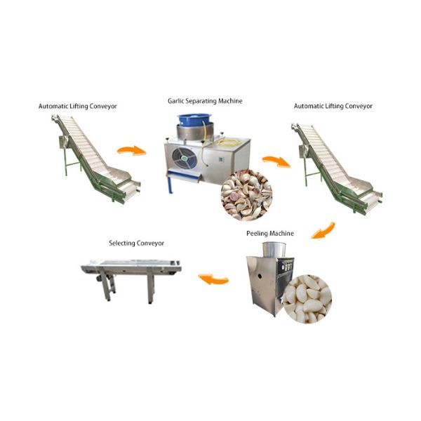 High Output Garlic Processing Production Line/Garlic Peeling Peeler Machine