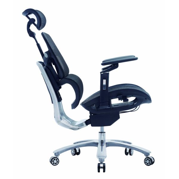 Modern Ergonomic Full Mesh Chair 6D Armrest 2D Lumbar Office Chair