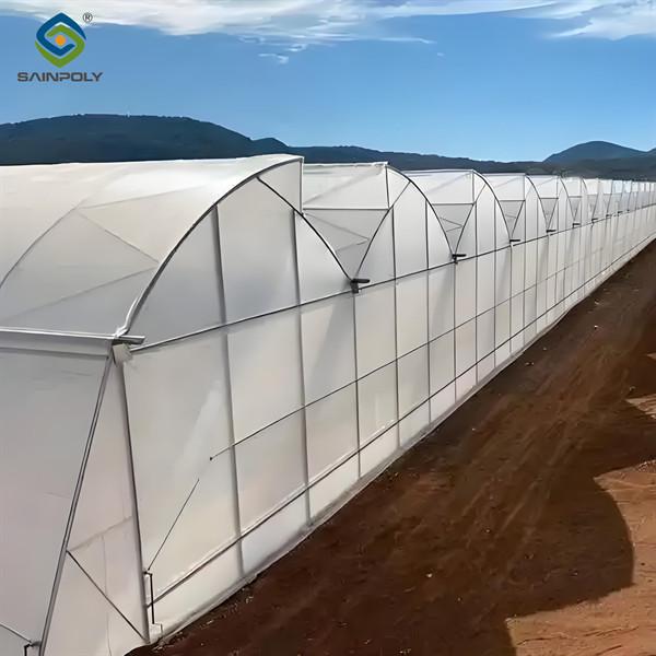 Double Po Film Gothic High Tunnel Greenhouse High Strength Anticorrosive