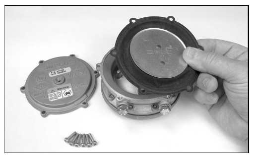 Hydrin Diaphragm RK VFF30 Lockoff IMPCO Repair Kits