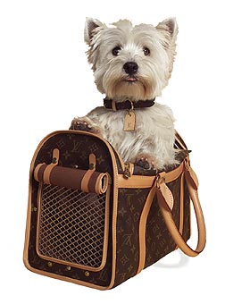 Small pet carrier cat bag