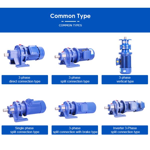 Cycloidal Pin Wheel Speed Reducer with Solid Shaft Output and Cast Iron Housing for High Torque Applications