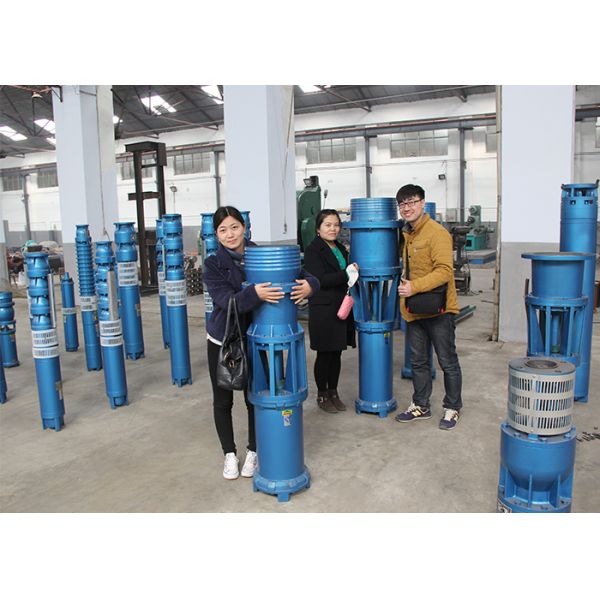 Сельскохозяйственное орошение Глубокие скважины Погружаемый насос 10 - 600 м Голова 3 фаза