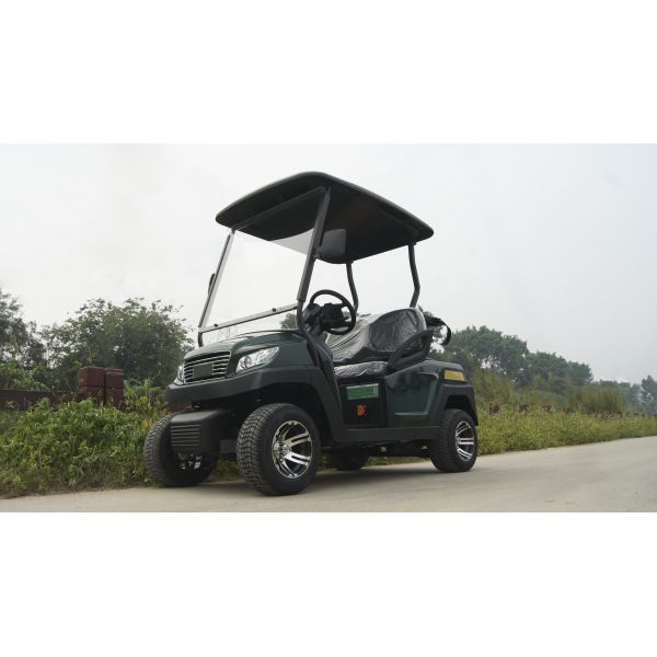 2-Seat Electric Golf Buggy with 30% Climbing Ability 48V Lithium Battery Range For 50-70 km
