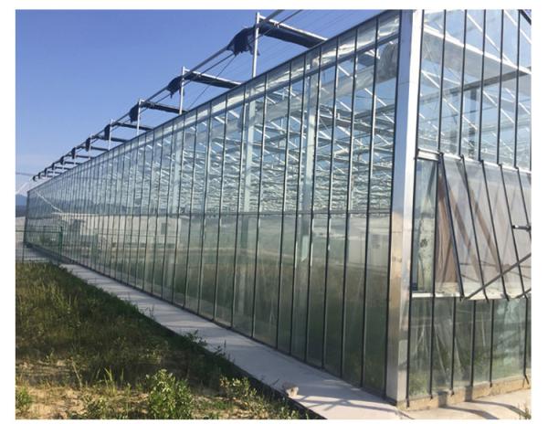 Conjunto completo de estufas agrícolas com esqueleto galvanizado e fácil de instalar