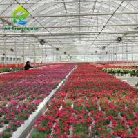 Hot Dip Galvanized Steel Plastic Film Greenhouse 3-8m Gutter Four Seasons Greenhouse