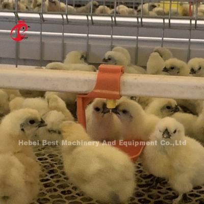 Prático 380V Cage Chick Brooder Para Dia Velha camada cultivador de frangos na África Iris Farm