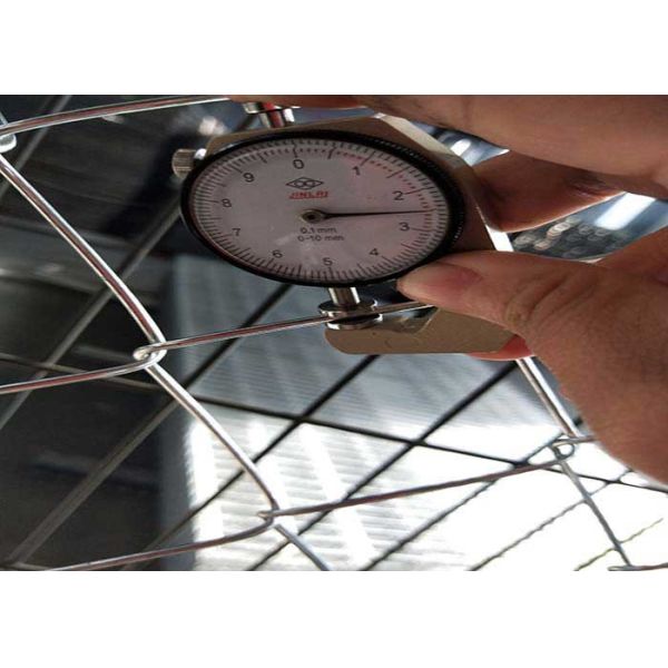 Загородка звена цепи диаманта пластиковый покрывать 50*50mm