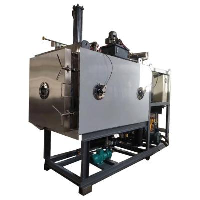 máquina de secagem fria de Mini Scale Box Type Vacuum de 3 medidores quadrados para o alimento comercial, longa vida