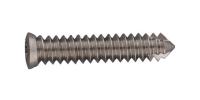 Veterinary Implant Surgical Orthopedic Screw Vet Locking Screw For Dog