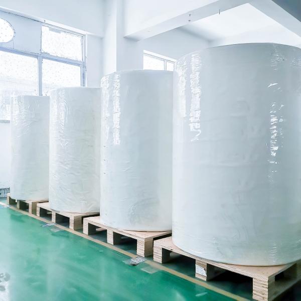 Etiquetas OPAL PET transparentes BOPP Etiquetas cola removível Papel de apoio de libertação