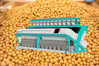 Máquina de triagem de soja de alto rendimento 11T/H-19T/H Máquina de triagem de cores de grãos