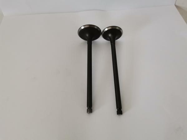 Mitsubish Airtrek 2.4 16v Diesel Engine Valve 4160A with Steel Material