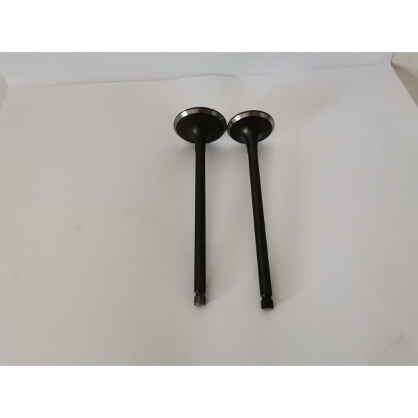 Mitsubish Airtrek 2.4 16v Diesel Engine Valve 4160A with Steel Material