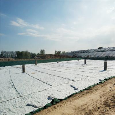 PP/ PET Geotextil 100 g/m2-800 g/m2 Geotextil não tecido de fibras curtas para construção