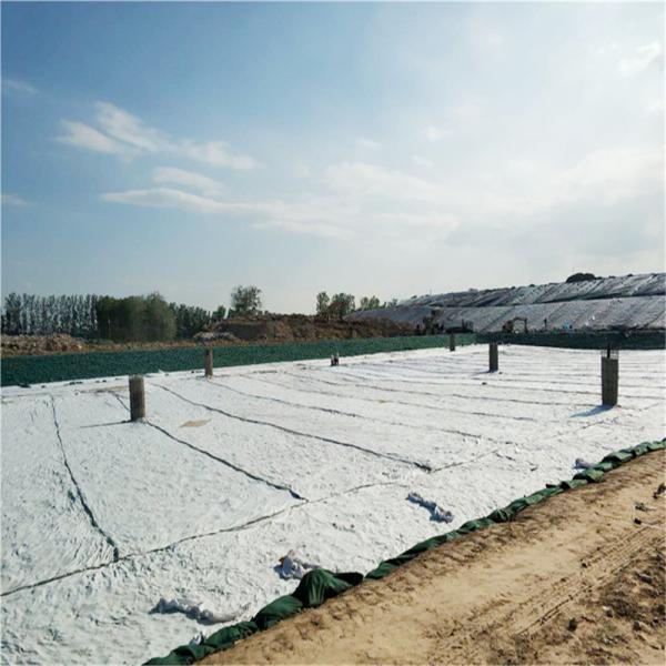 PP/ PET Geotextil 100 g/m2-800 g/m2 Geotextil não tecido de fibras curtas para construção